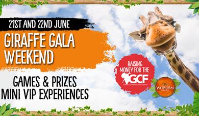 Giraffe Gala Weekend 21st - 22nd June