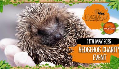 Help support Deanshanger Hedgehog Rescue