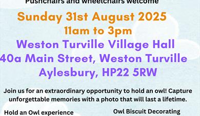 Owl Craft Spectacular Family Fun Day