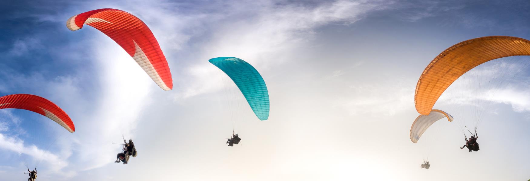 image shows paragliders