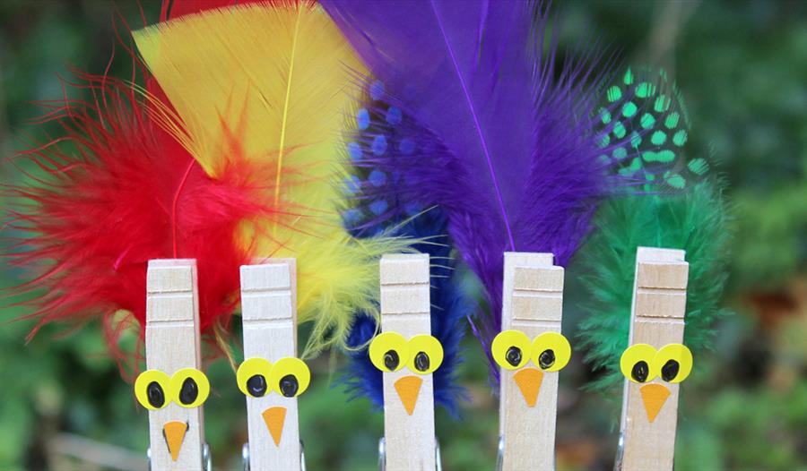 Celebration of Birds - Kids Outdoor Crafts