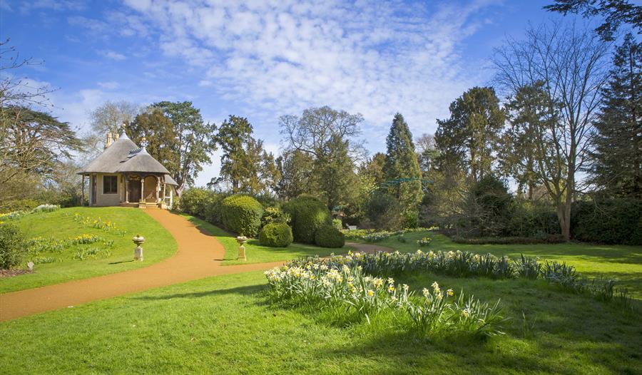Spring Walk & Lunch with the Head Gardener