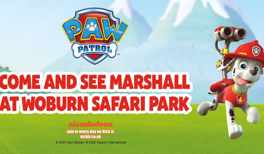 woburn safari park paw patrol