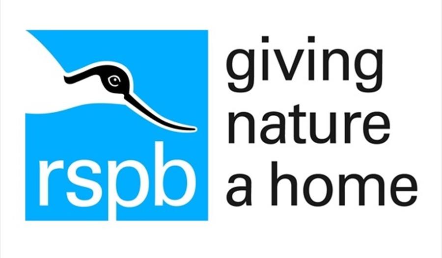 Warm Up for the RSPB's Big Garden Birdwatch.
