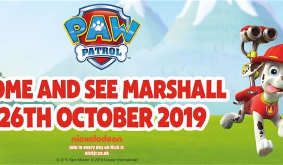 Meet Marshall from Paw Patrol this Saturday at Woburn Safari Park