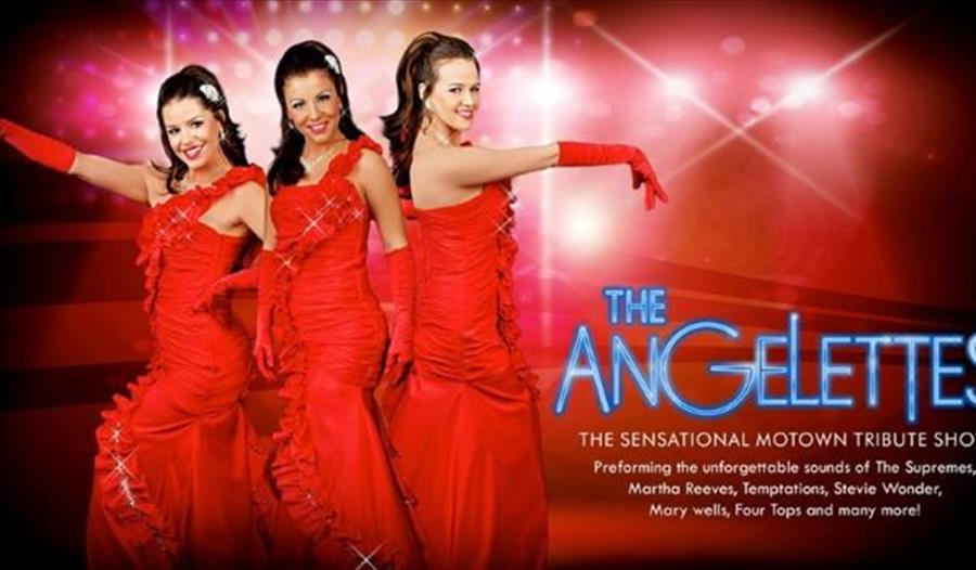 See The Angelettes performing at Woburn Safari Park