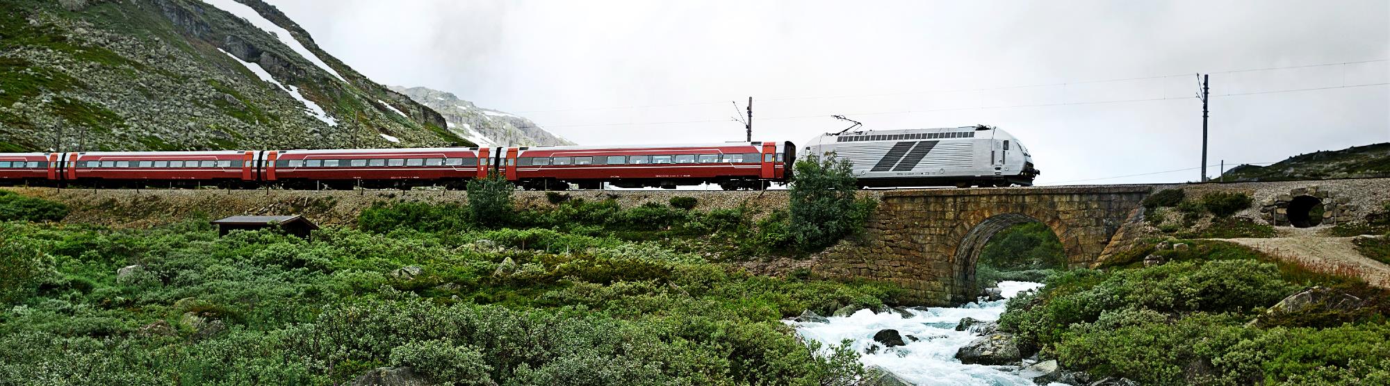 Die Bergenbahn