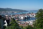 See Bergen from your bike