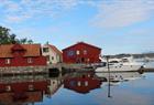 Magical half-day tour to Skjerjehamn