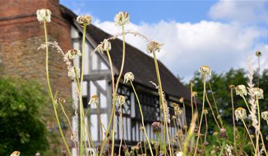 Manor House Museum