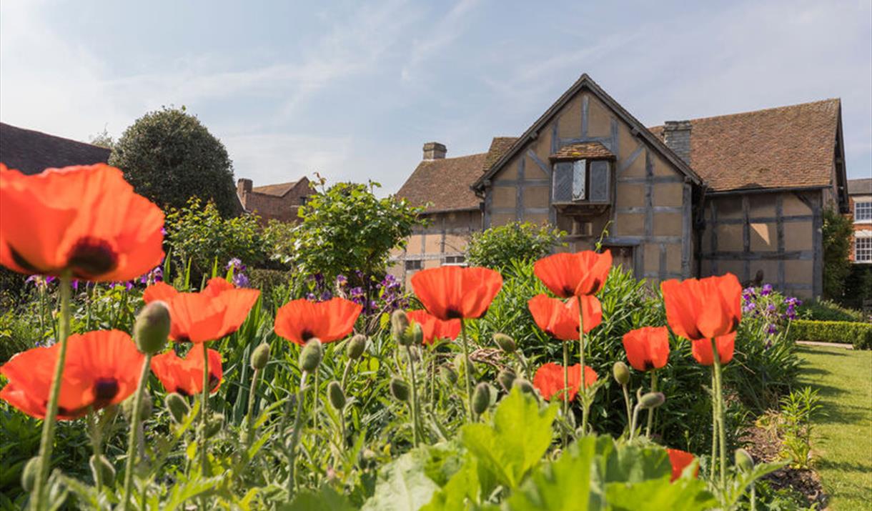 Shakespeare's Birthplace