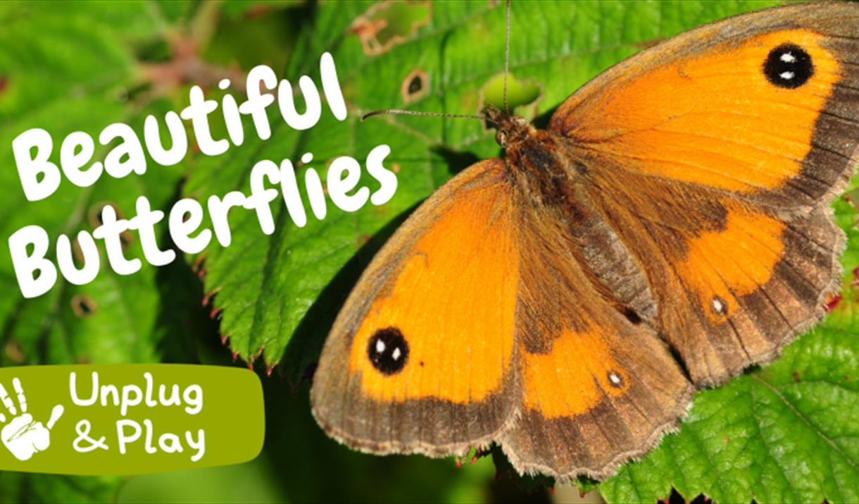 Beautiful Butterflies - Unplug and Play