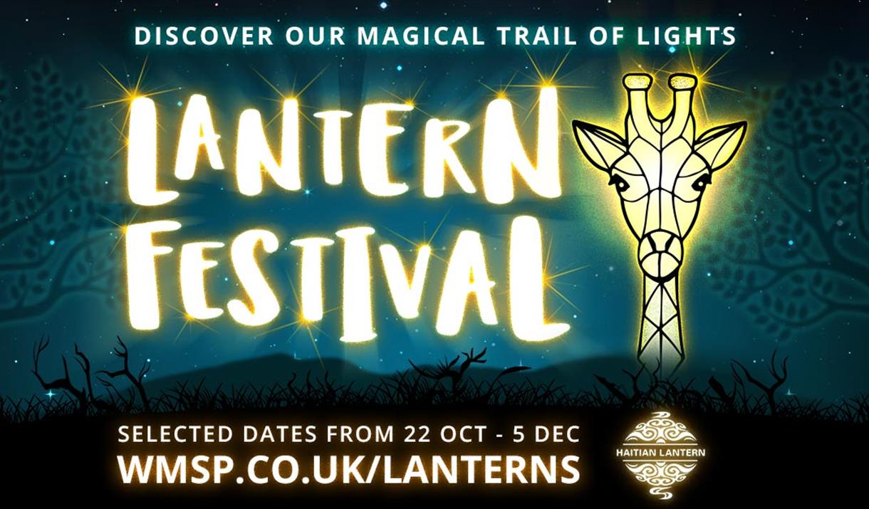Lantern Festival at West Midland Safari Park