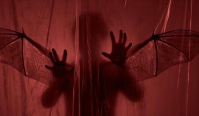 Dracula: Mina's Reckoning