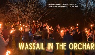 Wassail in the Orchard