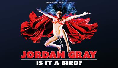 Jordan Gray: Is It A Bird?