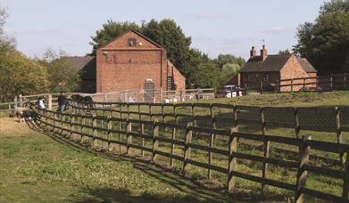 Forge Mill Farm