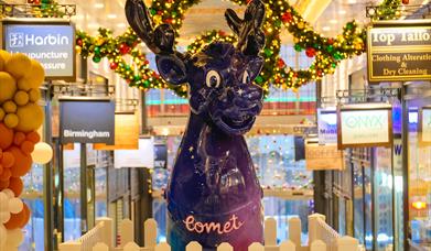 Brum’s Christmas Reindeer Trail