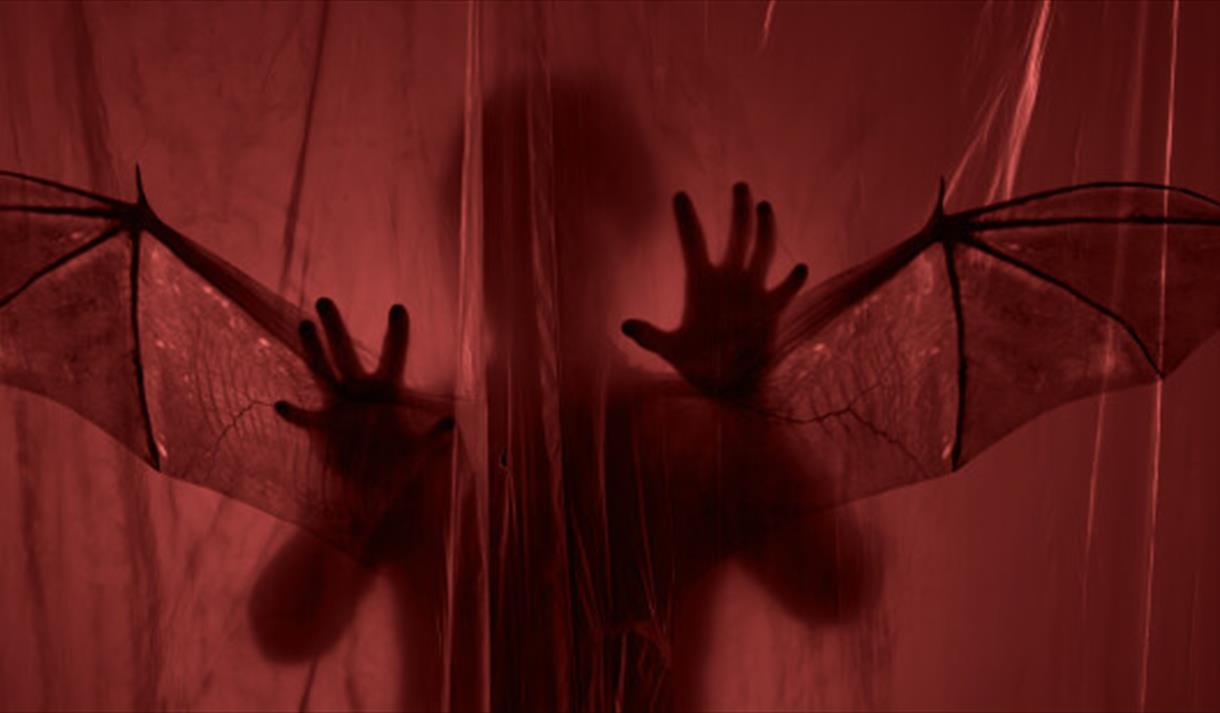 Dracula: Mina's Reckoning