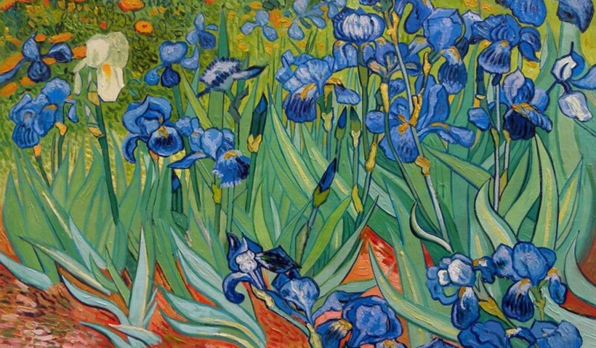 Van Gogh Irises