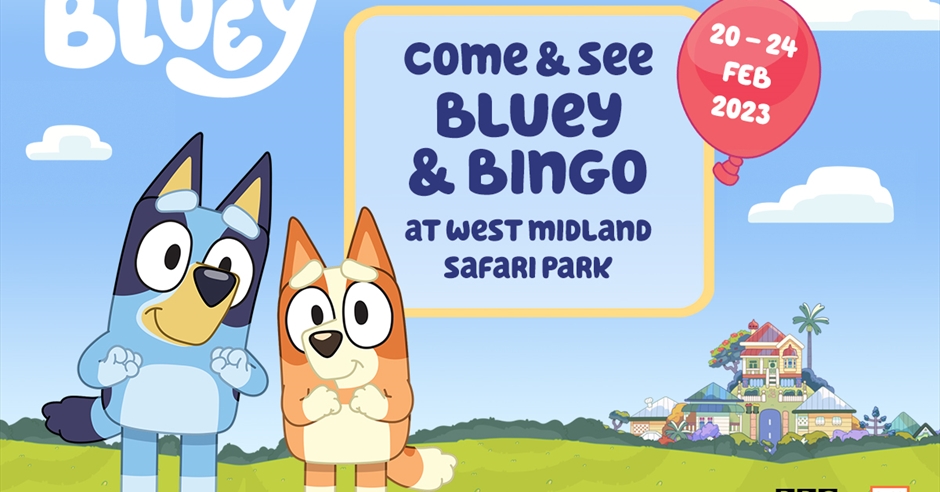 west midlands safari bluey