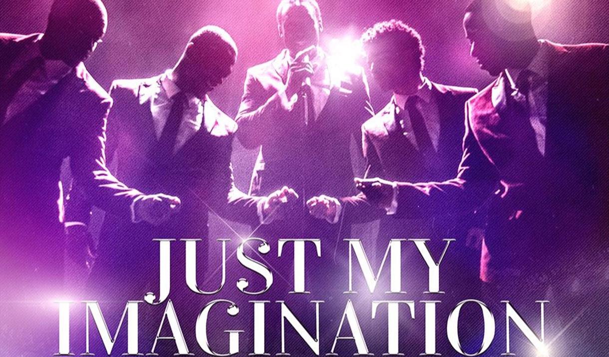 Just My Imagination - The Music of The Temptations