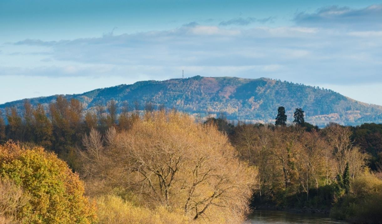 Wrekin Hills
