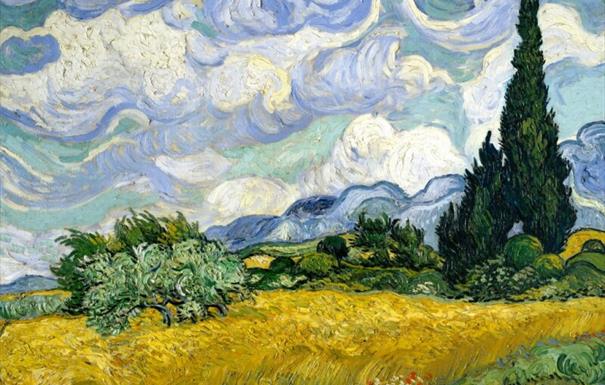 Field with cypresses