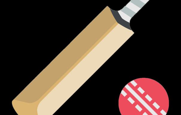 Cricket bat and ball