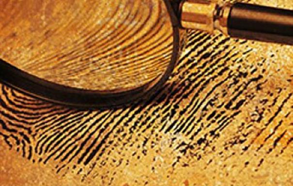 Coombe Abbey Murder Mystery Evenings