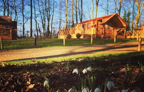 Mallory Meadows Lodges