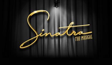 Sinatra The Musical