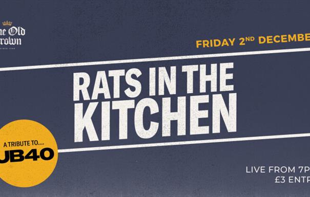 Rats In The Kitchen