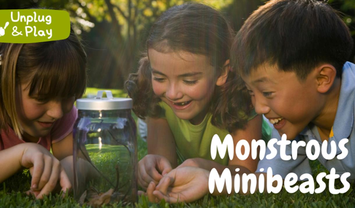Monstrous Minibeast Hunt - Unplug and Play