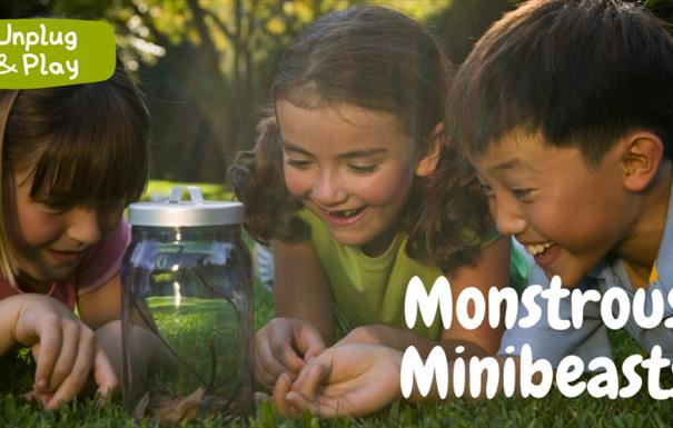 Monstrous Minibeast Hunt - Unplug and Play