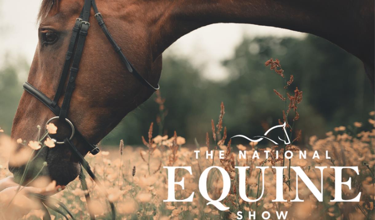 The National Equine Show 1