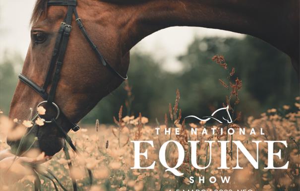 The National Equine Show 1