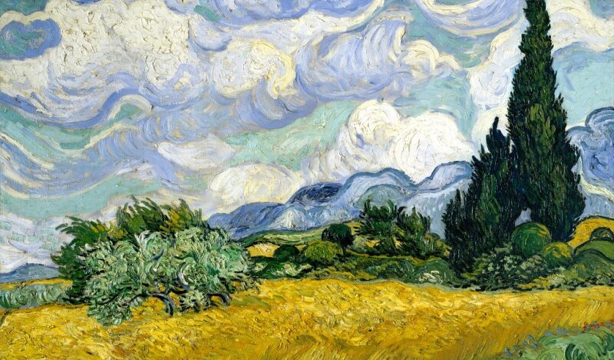 Field with cypresses