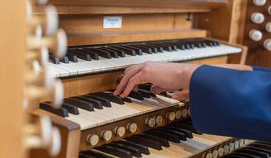 Hands on the organ
