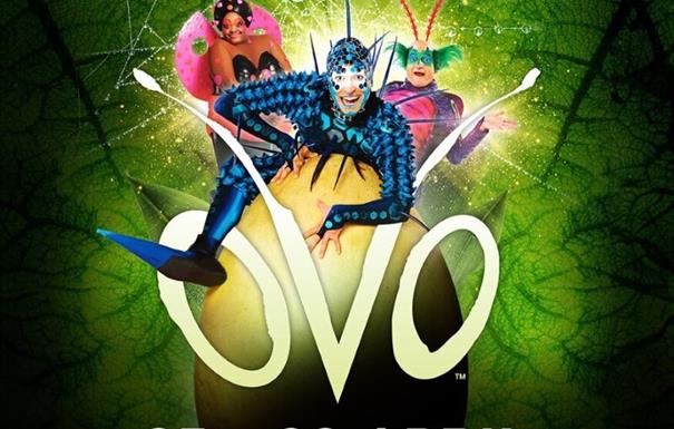 Cirque du Soleil: OVO - Balcony Seating