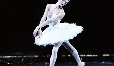 Best of Ballet