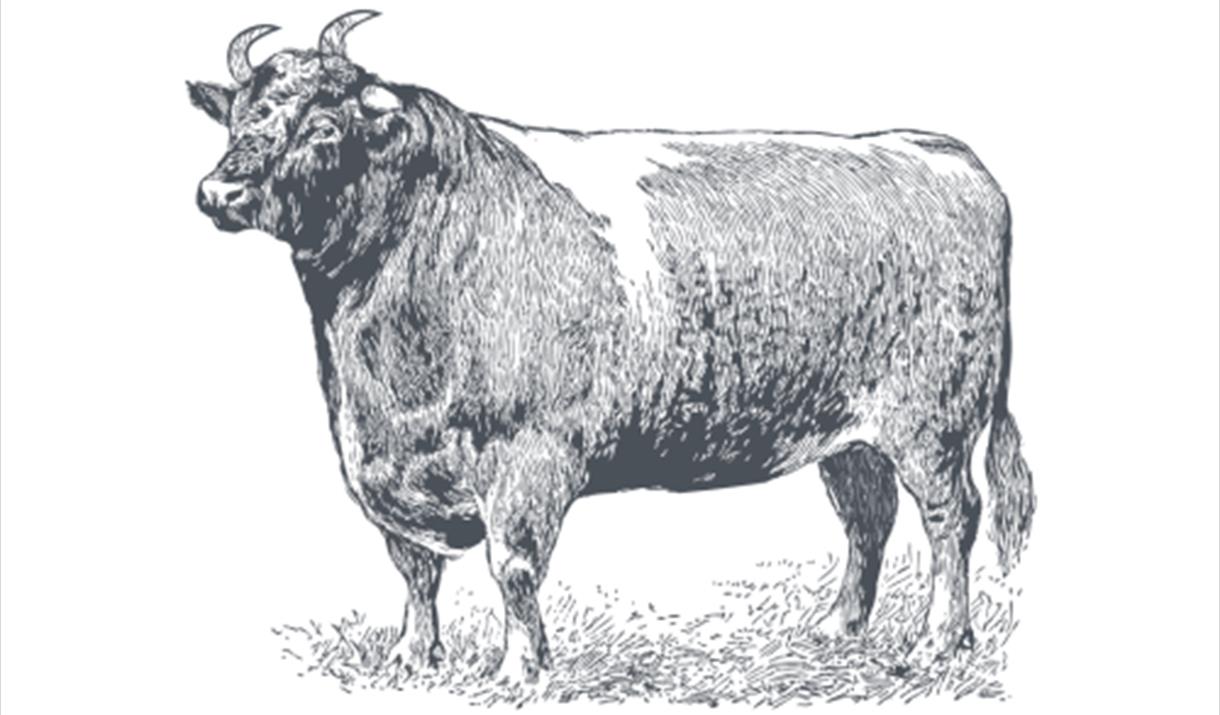 The Durham Ox
