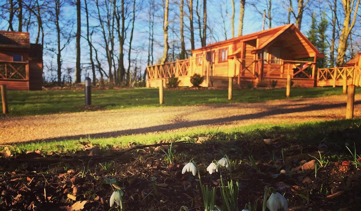 Mallory Meadows Lodges