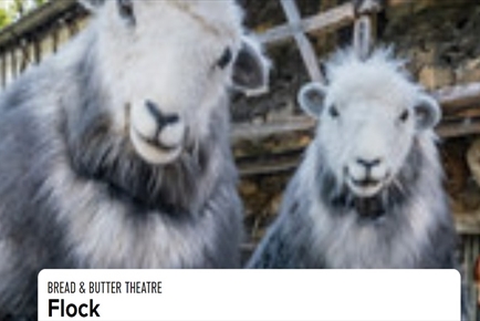 Bread & Butter Theatre - Flock