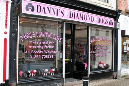 Danni's Diamond Dogs