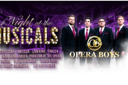 The Opera Boys - A Night at the Musicals