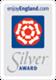 Silver Award