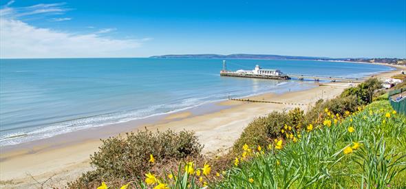 Bournemouth pier shot from the over cliff with yellow flowers in bloom 