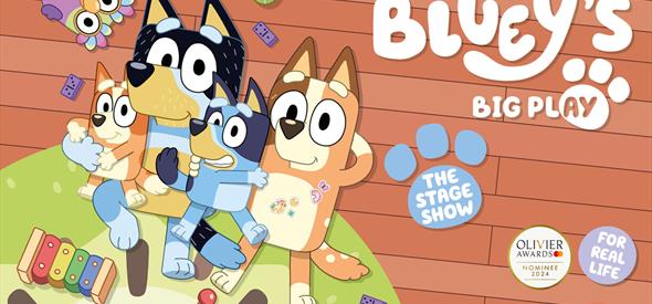 Bluey's Big Play