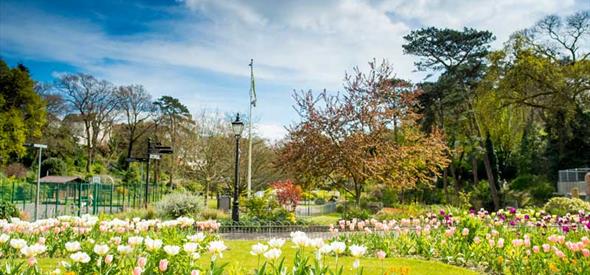 Flowers blooming in Boscombe gardens